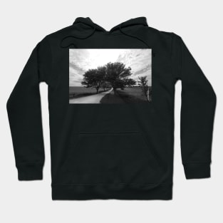 Long Way Home Hoodie